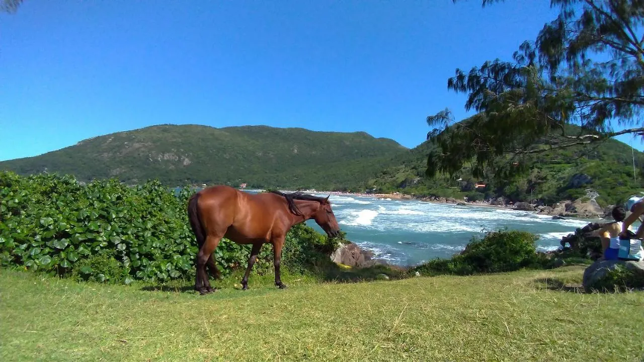 Rum i privatbostad Chale Praia Da Armacao Florianópolis